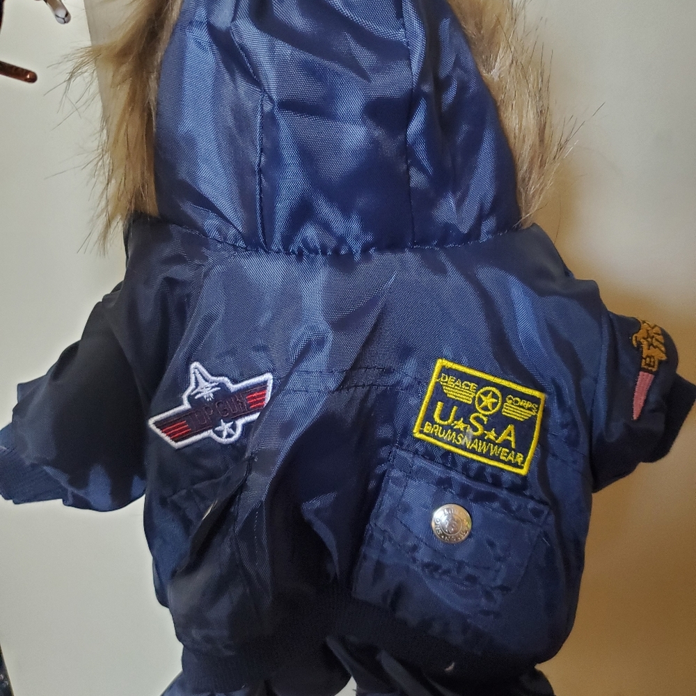 Small dog coat - Picture 5 of 5